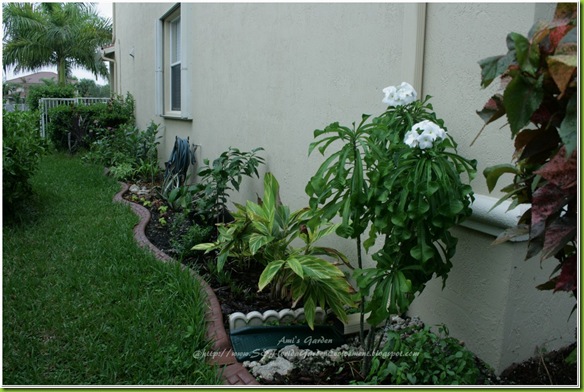 2011-08-31_00074