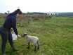 Lambs in school 2011 009.jpg