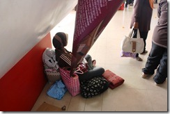 IMG_5500 IMG_5500