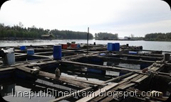 sangkar ikan sangkar ikan
