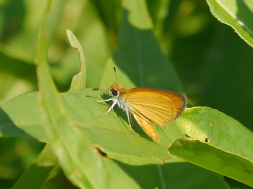 P1110020