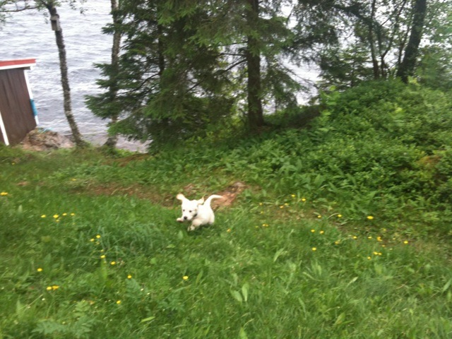 [IMG_0502%255B2%255D.jpg]