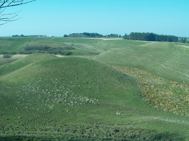 P3291605.JPG