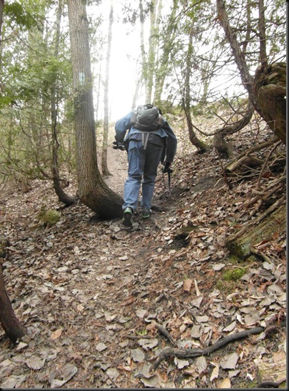Oak Ridge Trail - Sat April 14 2012 (156)