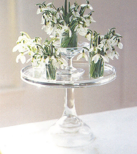 Place translucent-white snowdrops in antique juice glasses on a glass cake pedestal to take advantage of late-winter light. (The Best of Martha Stewart Living -- Arranging Flowers) Place translucent-white snowdrops in antique juice glasses on a glass cake pedestal to take advantage of late-winter light. (The Best of Martha Stewart Living -- Arranging Flowers)