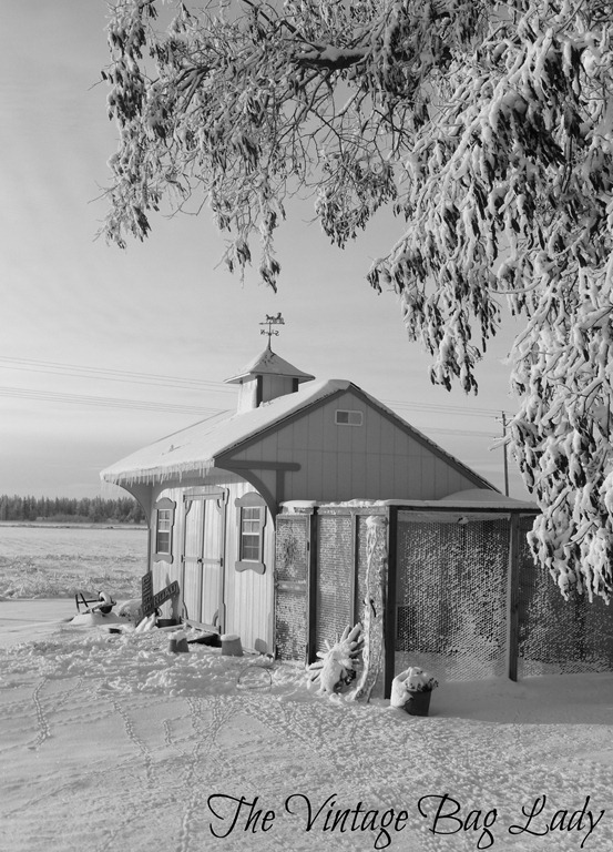 [Christmas-Day-0225.jpg]
