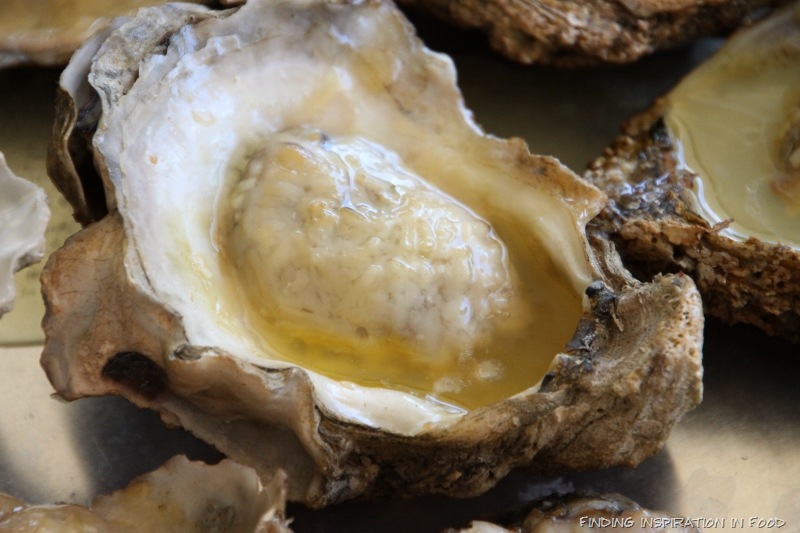 [IMG_9151%2520%2528800x533%2529%255B3%255D.jpg]