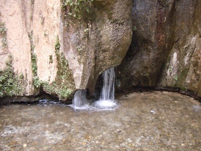 DSCN3885.jpg