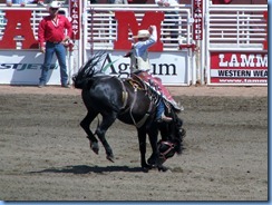 9442 Alberta Calgary - Calgary Stampede 100th Anniversary - Stampede Grandstand - Calgary Stampede Saddle Bronc Championship 9442 Alberta Calgary - Calgary Stampede 100th Anniversary - Stampede Grandstand - Calgary Stampede Saddle Bronc Championship