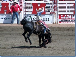 9442 Alberta Calgary - Calgary Stampede 100th Anniversary - Stampede Grandstand - Calgary Stampede Saddle Bronc Championship