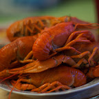 2011-07 River Lobster