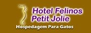 [GATIL%2520DA%2520RO%255B6%255D.jpg]