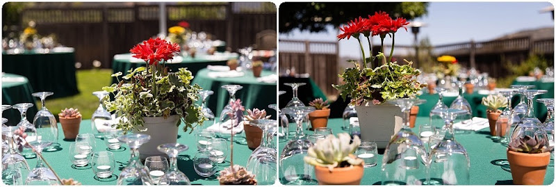 Backyard Wedding Photography_0314