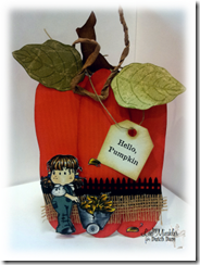 DDFallPumpkinYMMI