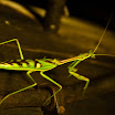 DSC_9714.jpg