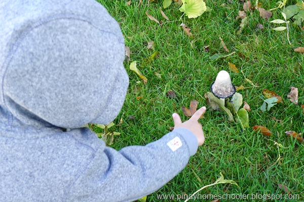 Learning about Mushrooms