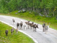 IMG_7279 IMG_7279
