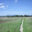 Scenic Selway Bitterroot Wilderness - CIMG0101.jpg