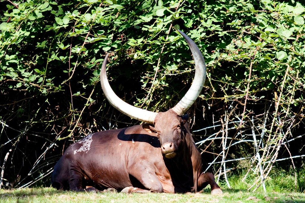 [20120903-IMG_9710%255B26%255D.jpg]