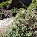 Colorado River