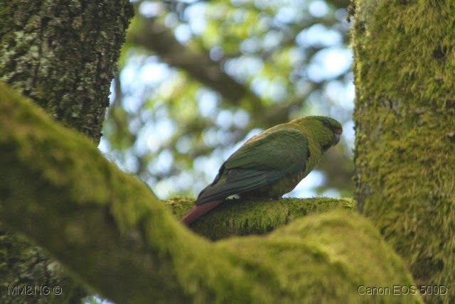 [IMG_3642%255B17%255D.jpg]