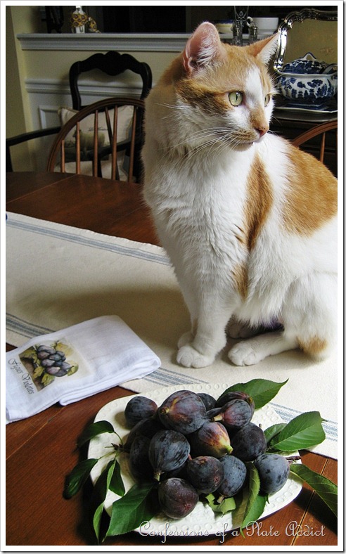 BK and figs BK and figs