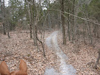 trail 496 (winter)