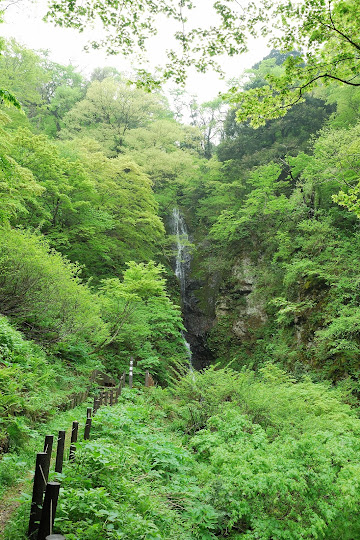 不動滝遊歩道