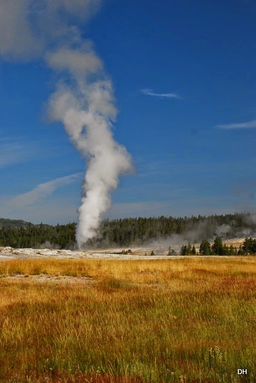 [08-08-14-B-Yellowstone-NP-693.jpg]