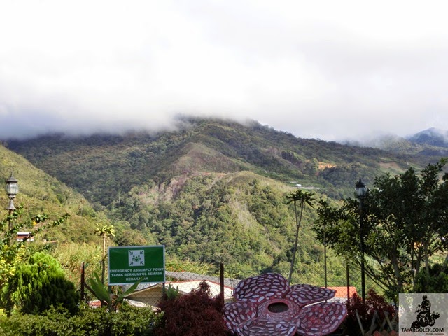 [CIMG23312.jpg]