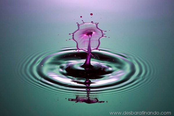 liquid-drop-art-gotas-caindo-foto-velocidade-hora-certa-desbaratinando (61) liquid-drop-art-gotas-caindo-foto-velocidade-hora-certa-desbaratinando (61)