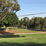 IMG_3335.JPG