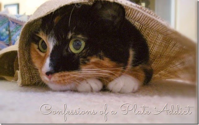 Isabella loves burlap Isabella loves burlap