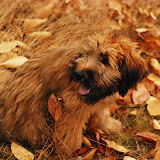 Abi - DSC_0303.jpg