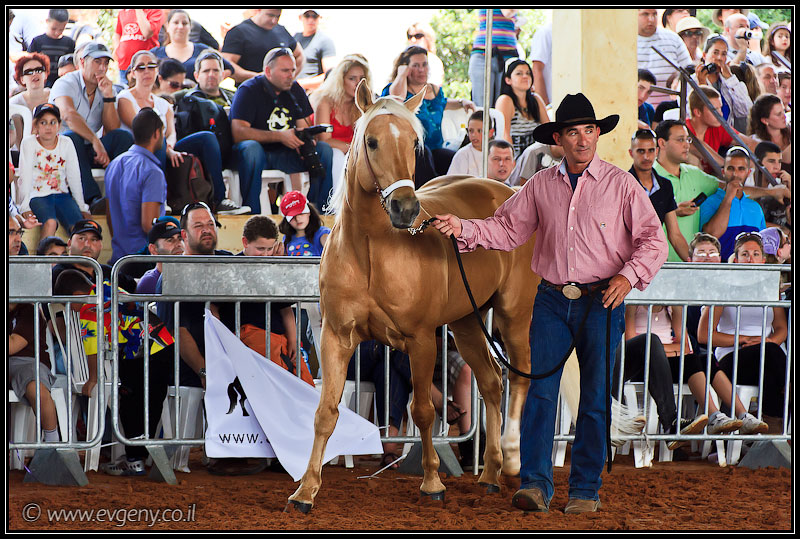 il/Фото: Stallion Show 2011 (20110416 stllion show 076 2303)