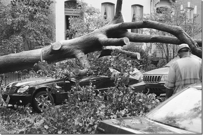 Hurricane Irene Crushed Cars Washington DC