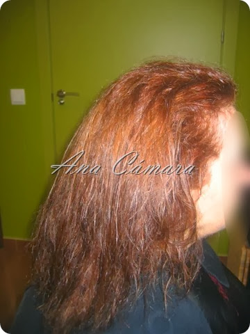 IMG_8044 IMG_8044