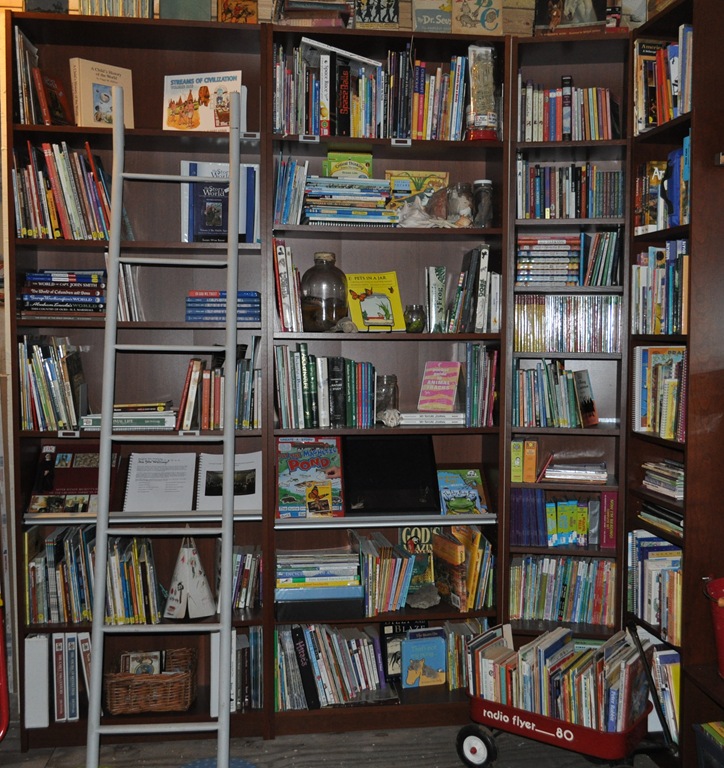 [schollroom-2012-06412.jpg]