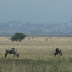 P1090585