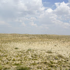 20080821-IMG_0143.jpg