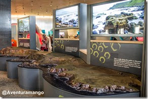 Interior do Centro de Visitantes Giant Causeway - Irlanda do Norte (1)