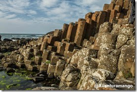 Giant Causeway - Irlanda do norte (1)