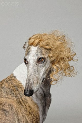[awkward-stock-photos-7%255B2%255D.jpg]