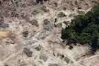 Rousseff's administration is now the one responsible for targets set by the previous administration, led by the more environmentally minded Lula, to reduce deforestation in the Amazon by a further 300,000 hectares.
Photograph: Daniel Beltrá/Greenpeace