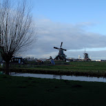 the zaanse schans in zaandam in Zaandam, Noord Holland, Netherlands