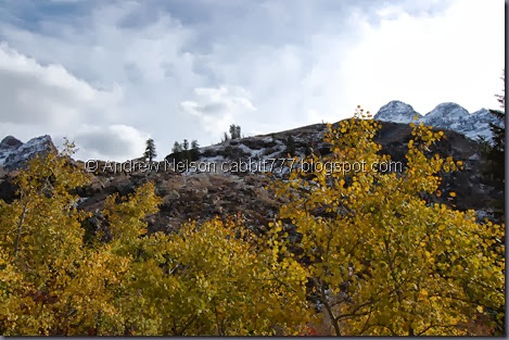 DSC_0811 DSC_0811