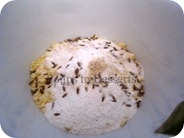 IMG_7456 IMG_7456