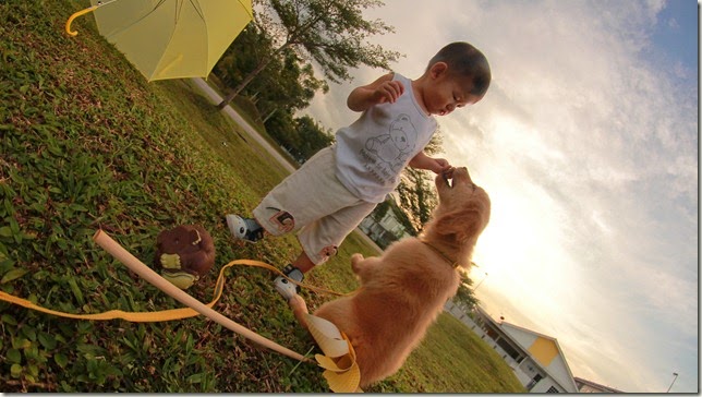 IMG_8566 IMG_8566