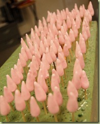 pinkroses1 pinkroses1