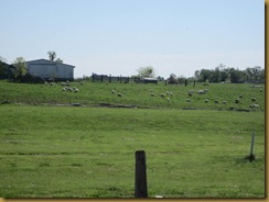 IMG_5980 IMG_5980